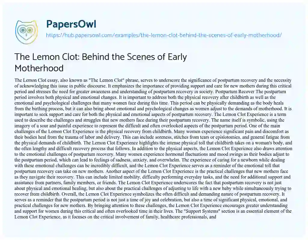 Essay on The Lemon Clot: Behind the Scenes of Early Motherhood