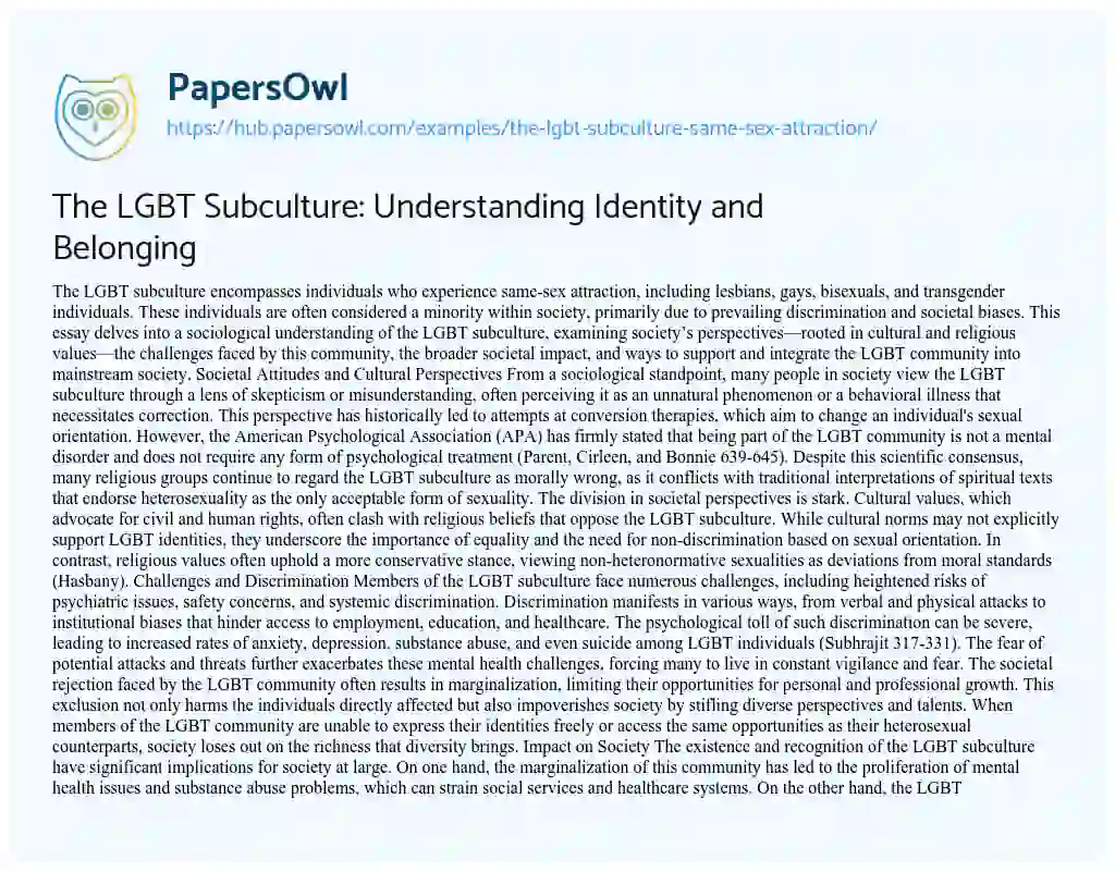 Essay on The LGBT Subculture: Understanding Identity and Belonging