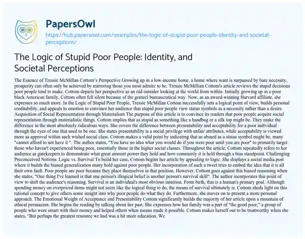 Essay on The Logic of Stupid Poor People: Identity, and Societal Perceptions