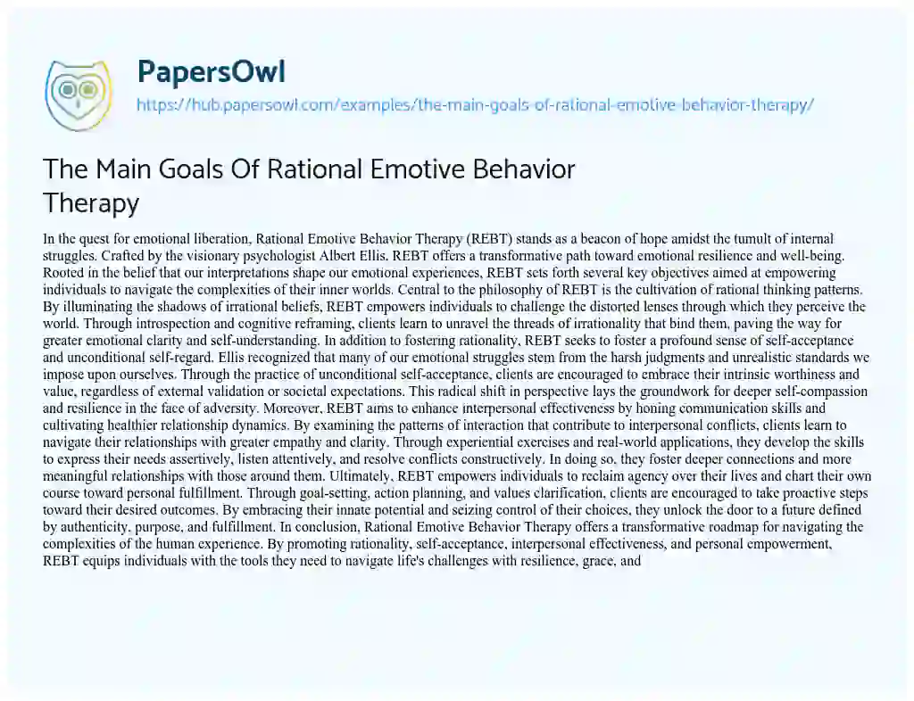 Essay on The Main Goals Of Rational Emotive Behavior Therapy