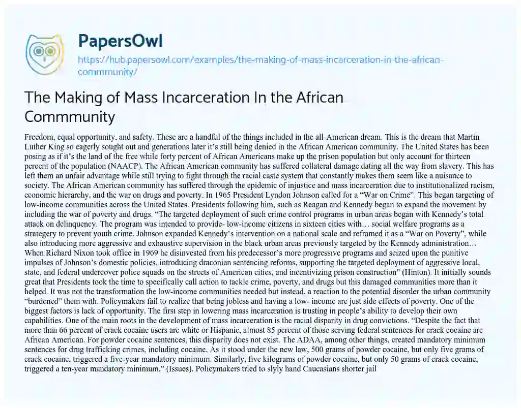Essay on The Making of Mass Incarceration In the African Commmunity