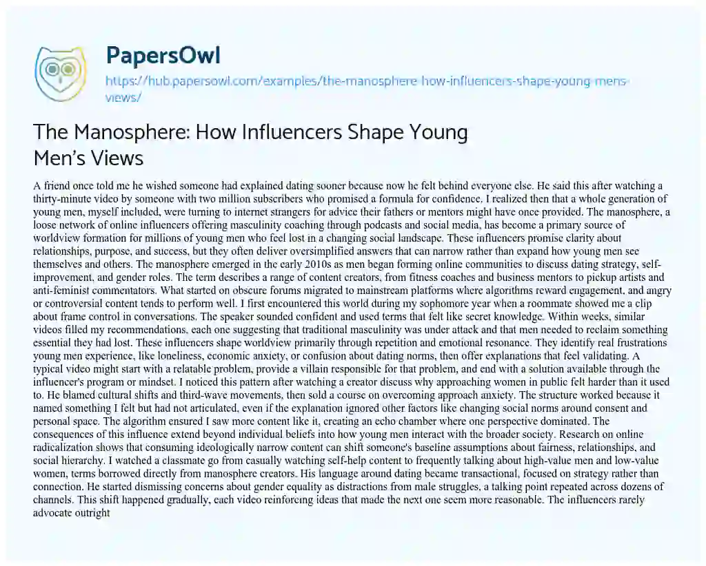 Essay on The Manosphere: How Influencers Shape Young Men’s Views