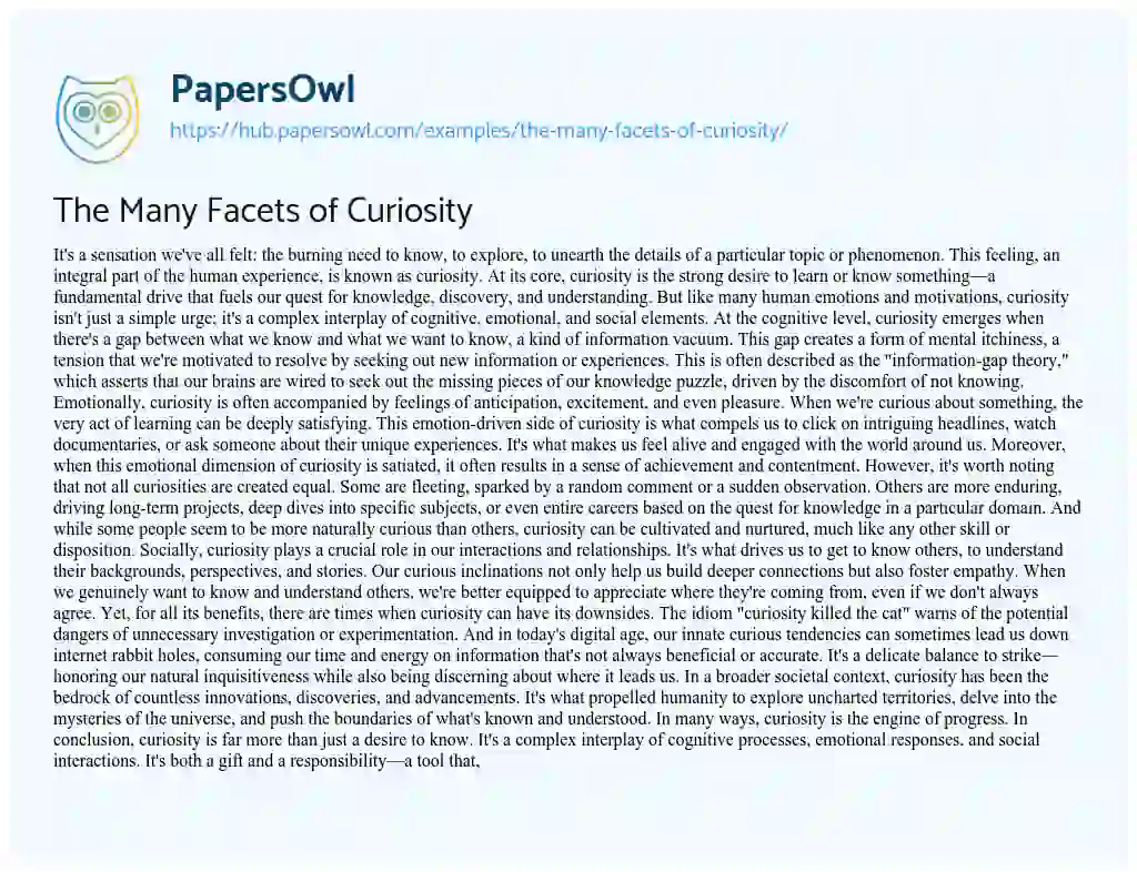 Essay on The Many Facets of Curiosity