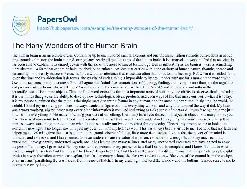 Essay on The Many Wonders of the Human Brain