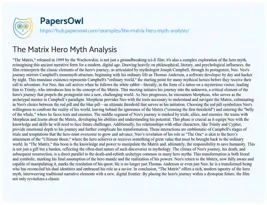 Essay on The Matrix Hero Myth Analysis