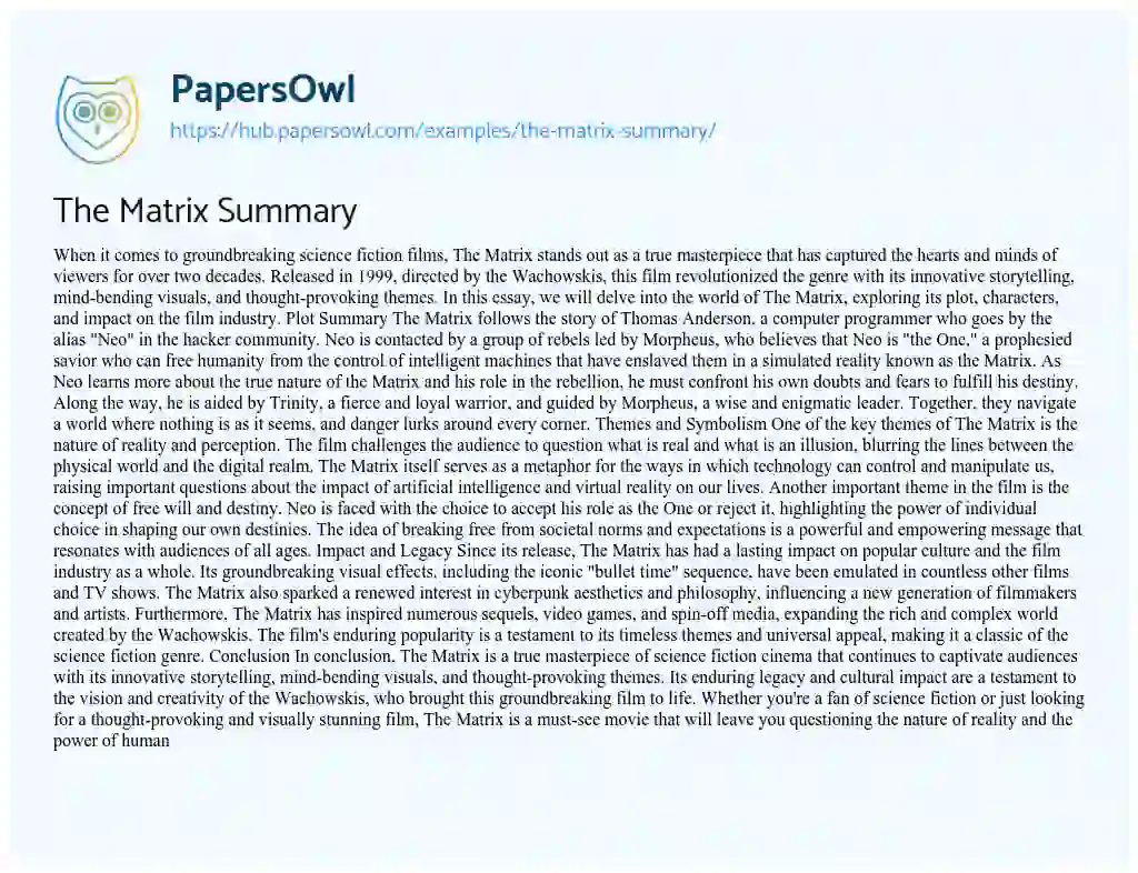 Essay on The Matrix Summary