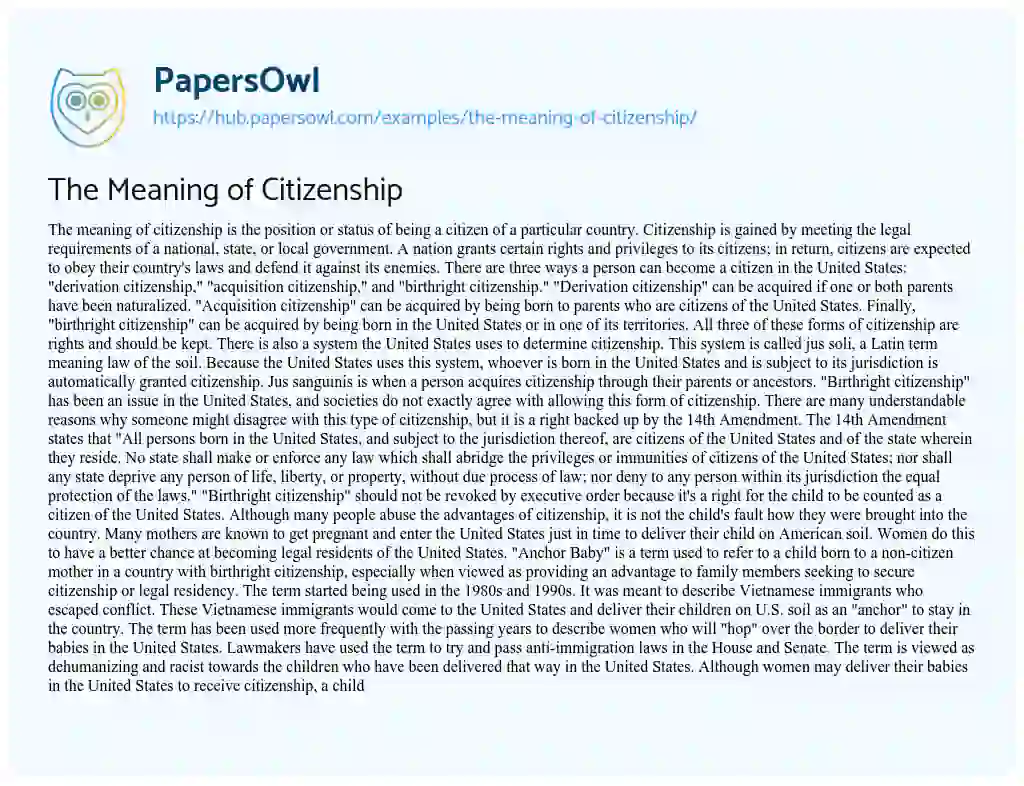 Essay on The Meaning of Citizenship