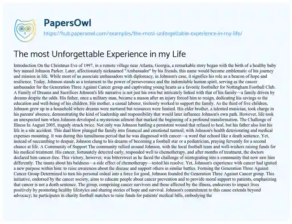 Essay on The most Unforgettable Experience in my Life