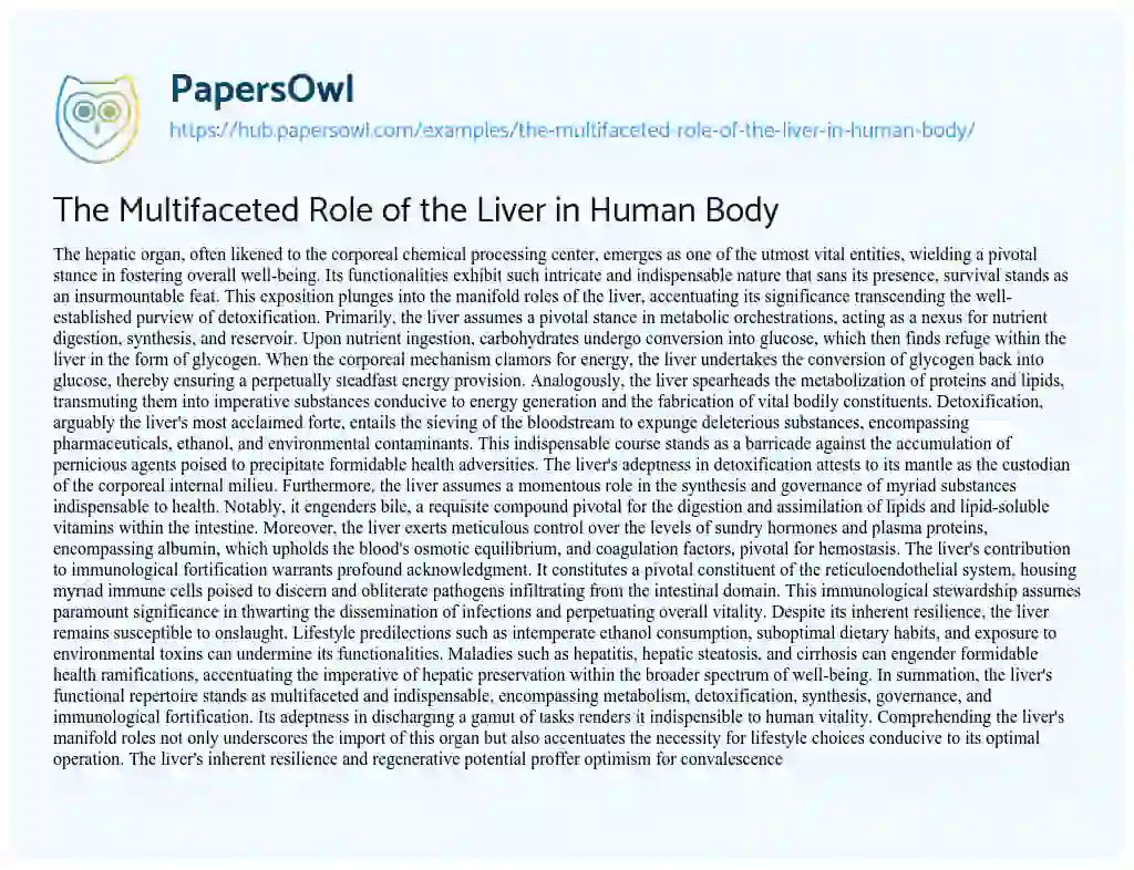 Essay on The Multifaceted Role of the Liver in Human Body