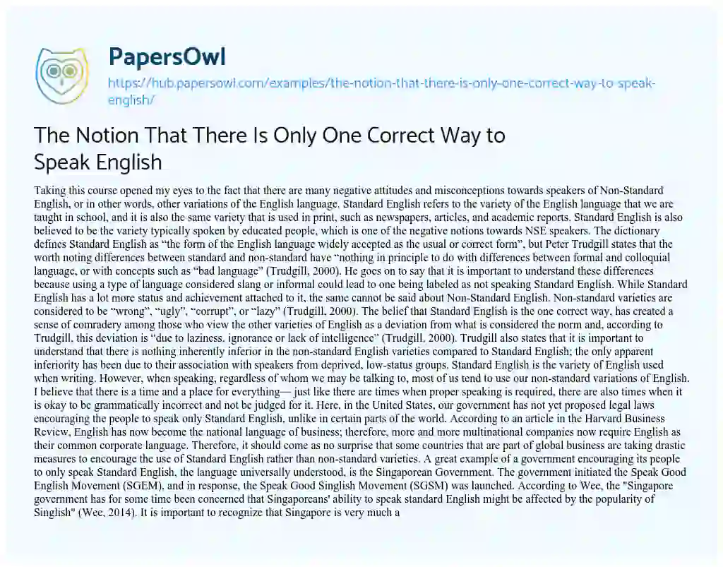 Essay on The Notion That There Is Only One Correct Way to Speak English 