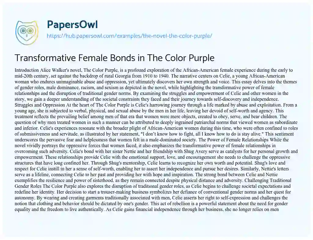Essay on Transformative Female Bonds in The Color Purple
