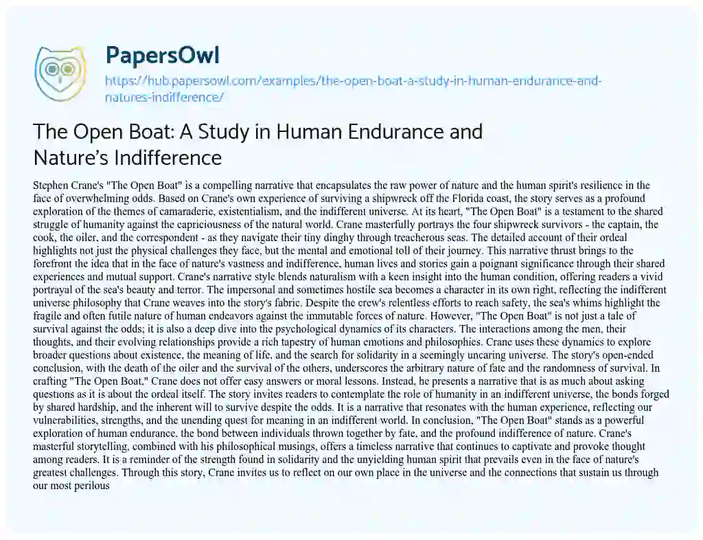 Essay on The Open Boat: A Study in Human Endurance and Nature’s Indifference