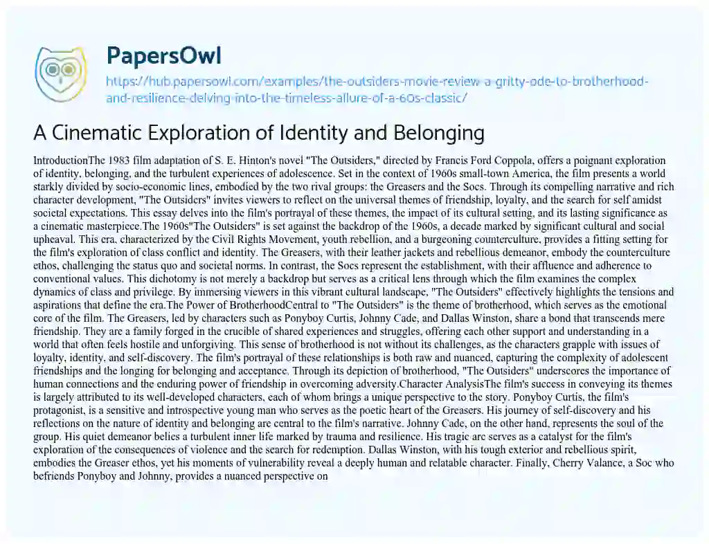 Essay on A Cinematic Exploration of Identity and Belonging