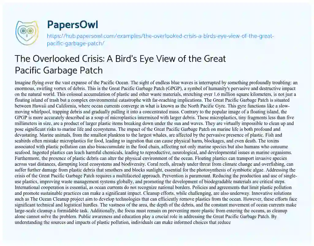 Essay on The Overlooked Crisis: A Bird’s Eye View of the Great Pacific Garbage Patch