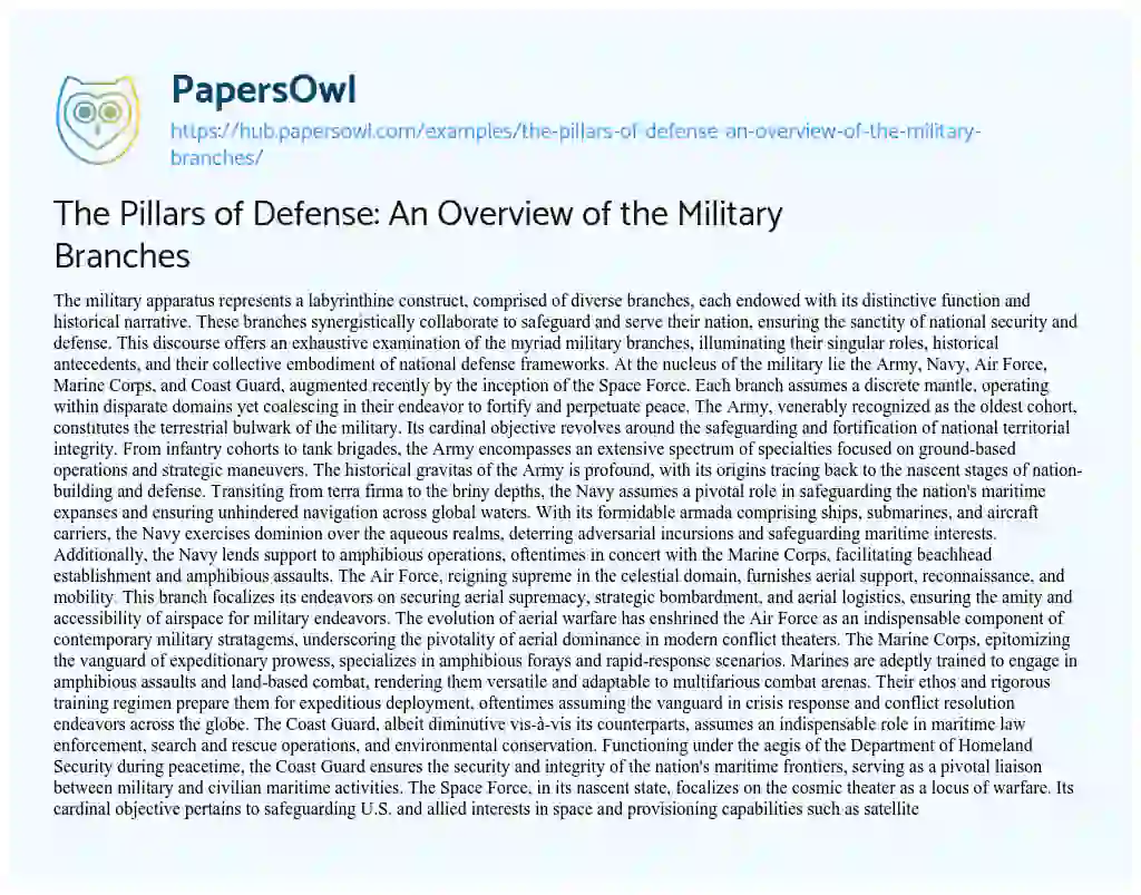 Essay on The Pillars of Defense: An Overview of the Military Branches