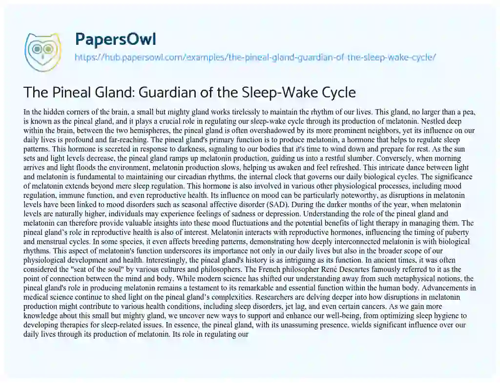 Essay on The Pineal Gland: Guardian of the Sleep-Wake Cycle