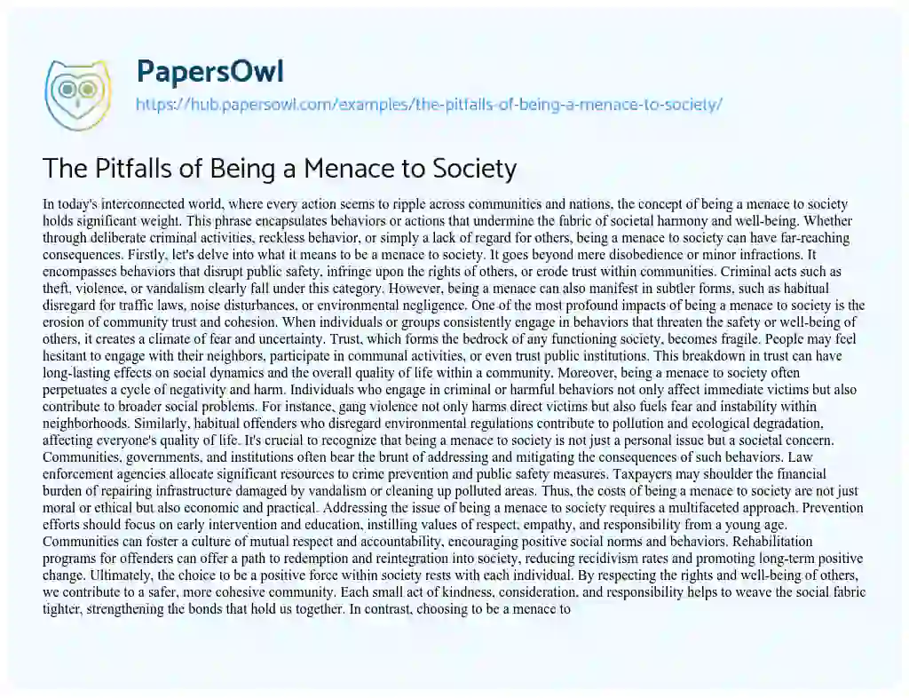 Essay on The Pitfalls of Being a Menace to Society