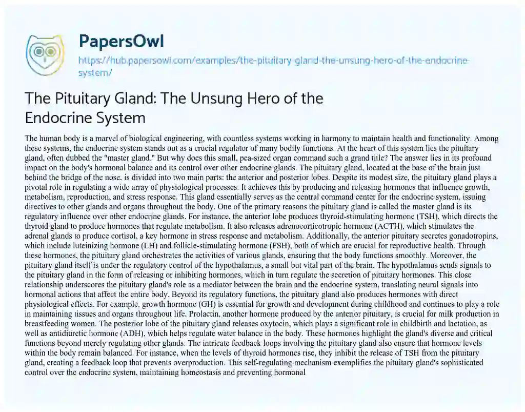 Essay on The Pituitary Gland: The Unsung Hero of the Endocrine System