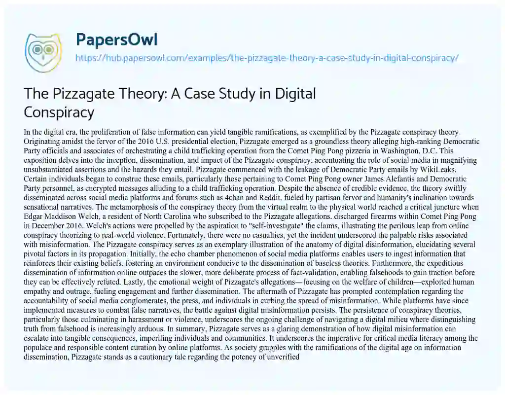 Essay on The Pizzagate Theory: A Case Study in Digital Conspiracy