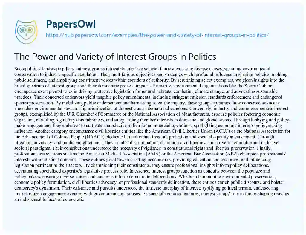 Essay on The Power and Variety of Interest Groups in Politics