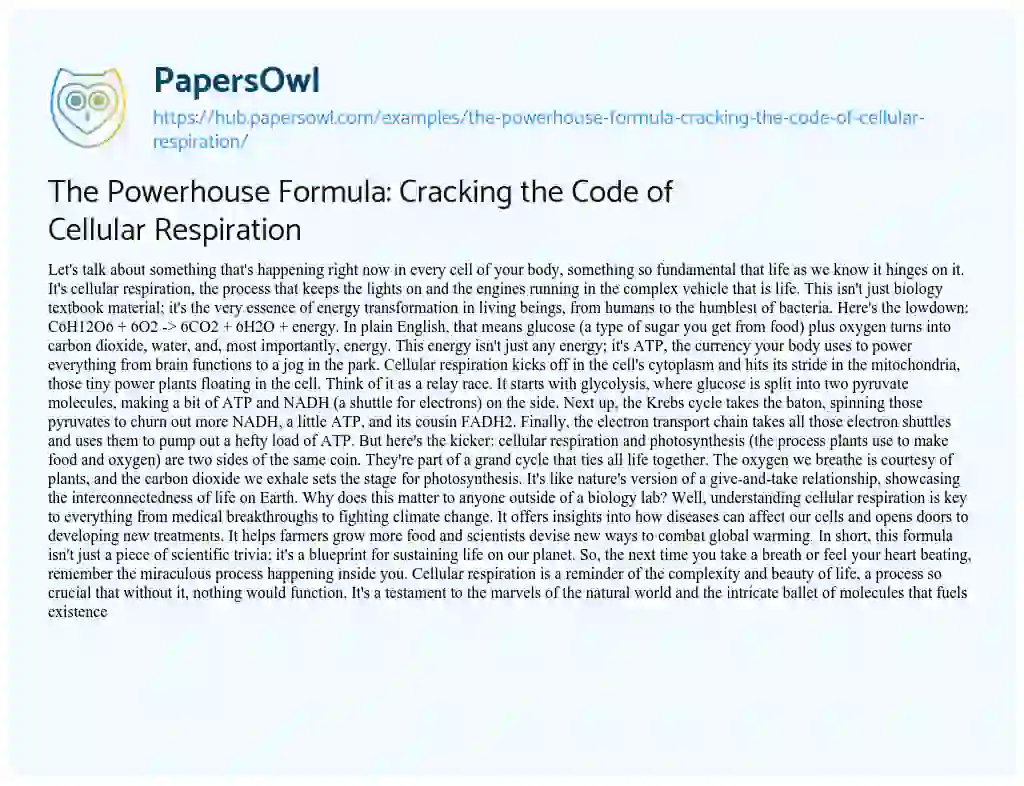 Essay on The Powerhouse Formula: Cracking the Code of Cellular Respiration