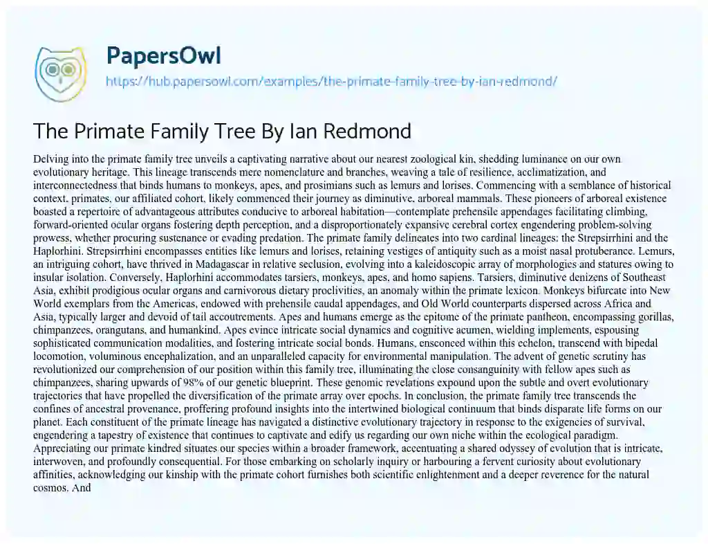 Essay on The Primate Family Tree By Ian Redmond