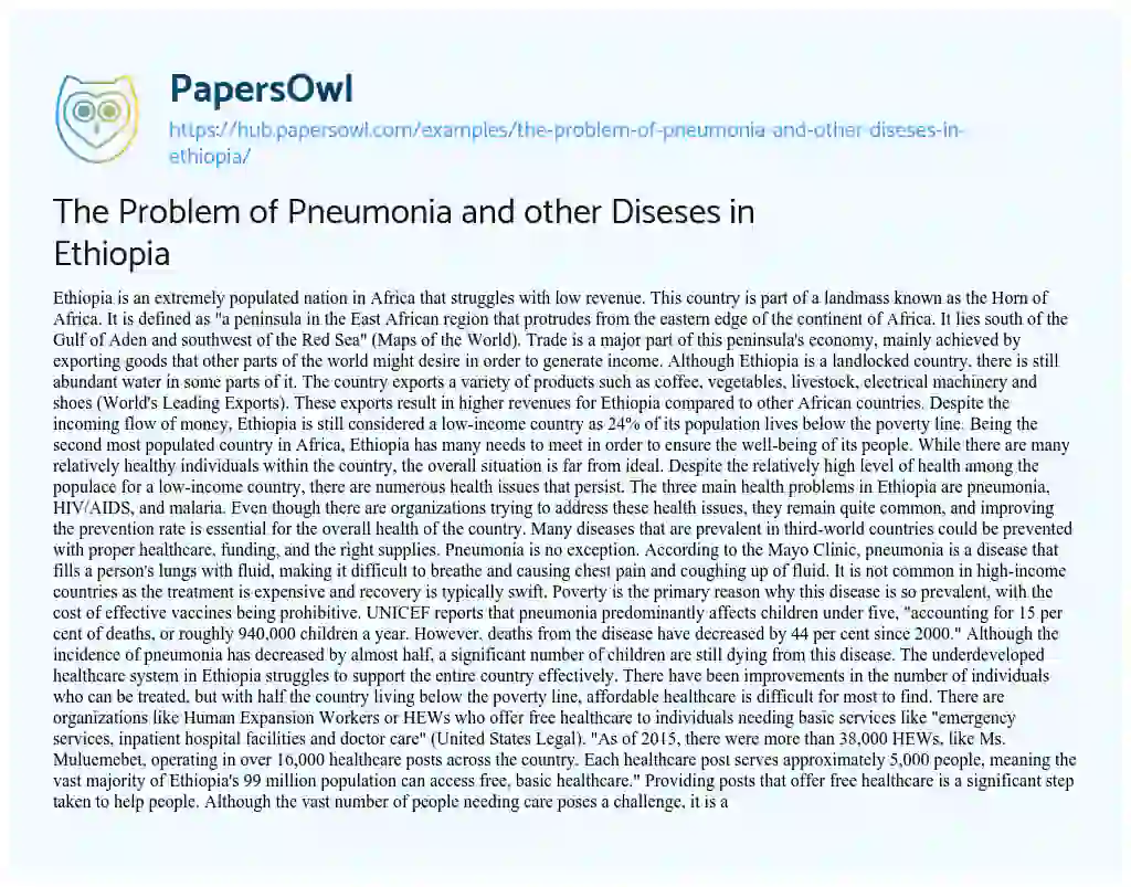 Essay on The Problem of Pneumonia and other Diseses in Ethiopia