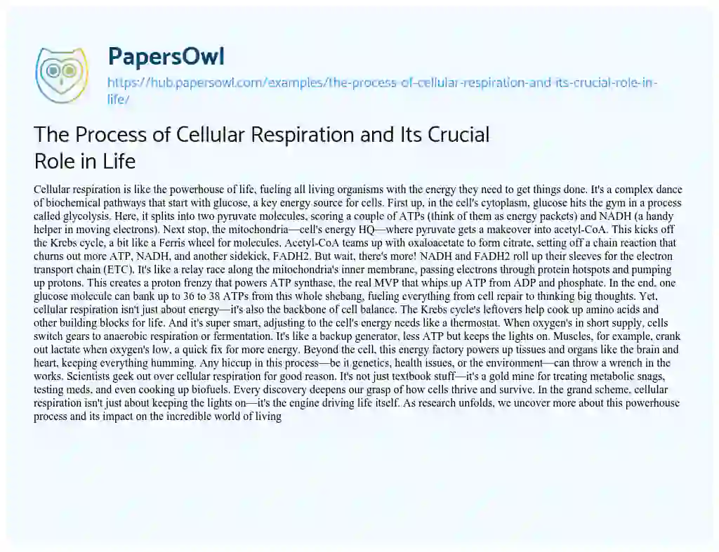 Essay on The Process of Cellular Respiration and Its Crucial Role in Life