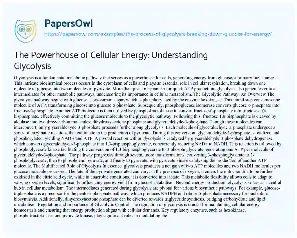 Essay on The Powerhouse of Cellular Energy: Understanding Glycolysis