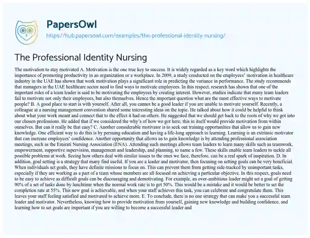 Essay on The Professional Identity Nursing