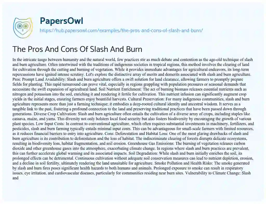 Essay on The Pros And Cons Of Slash And Burn