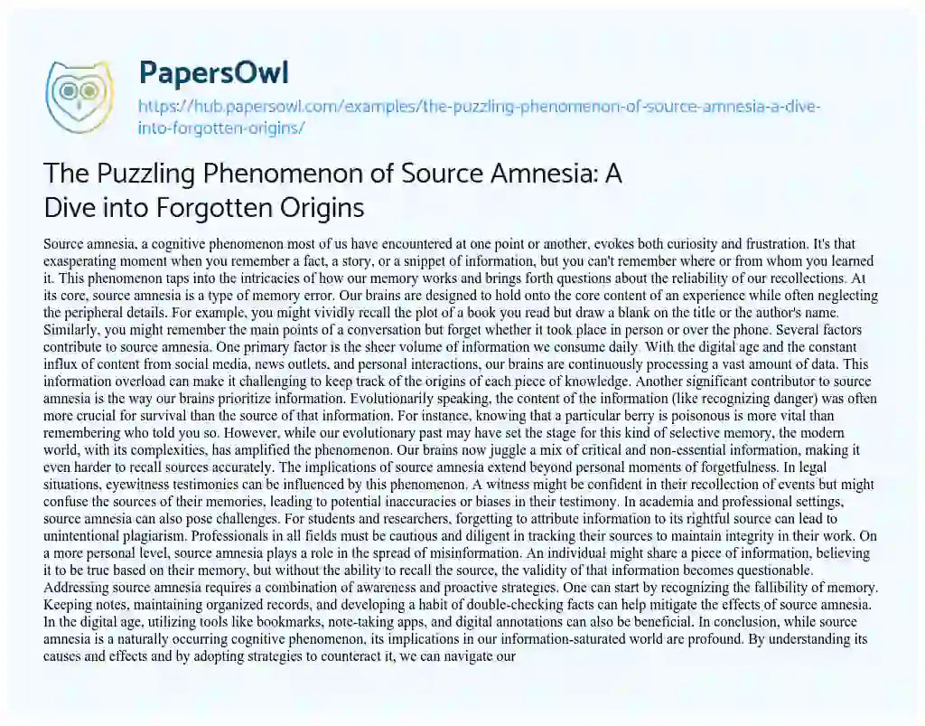 Essay on The Puzzling Phenomenon of Source Amnesia: A Dive into Forgotten Origins