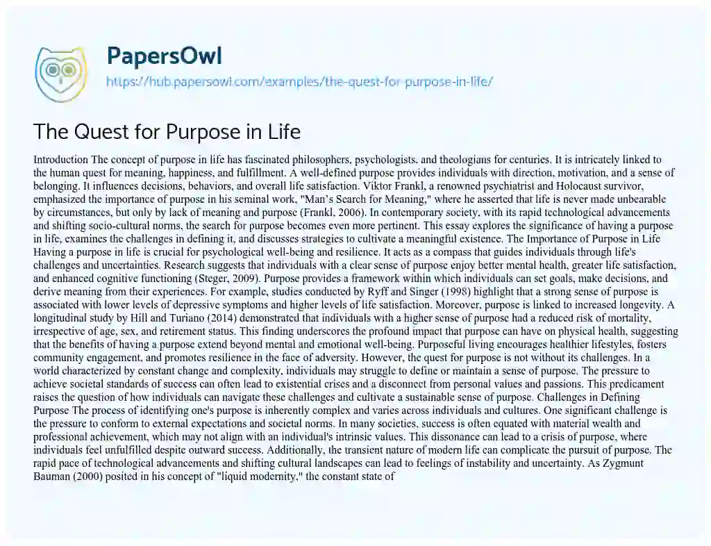 Essay on The Quest for Purpose in Life