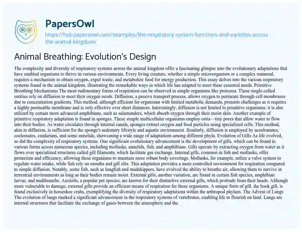 Essay on Animal Breathing: Evolution’s Design