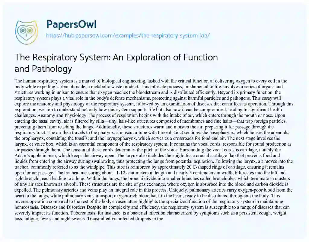 Essay on The Respiratory System: An Exploration of Function and Pathology