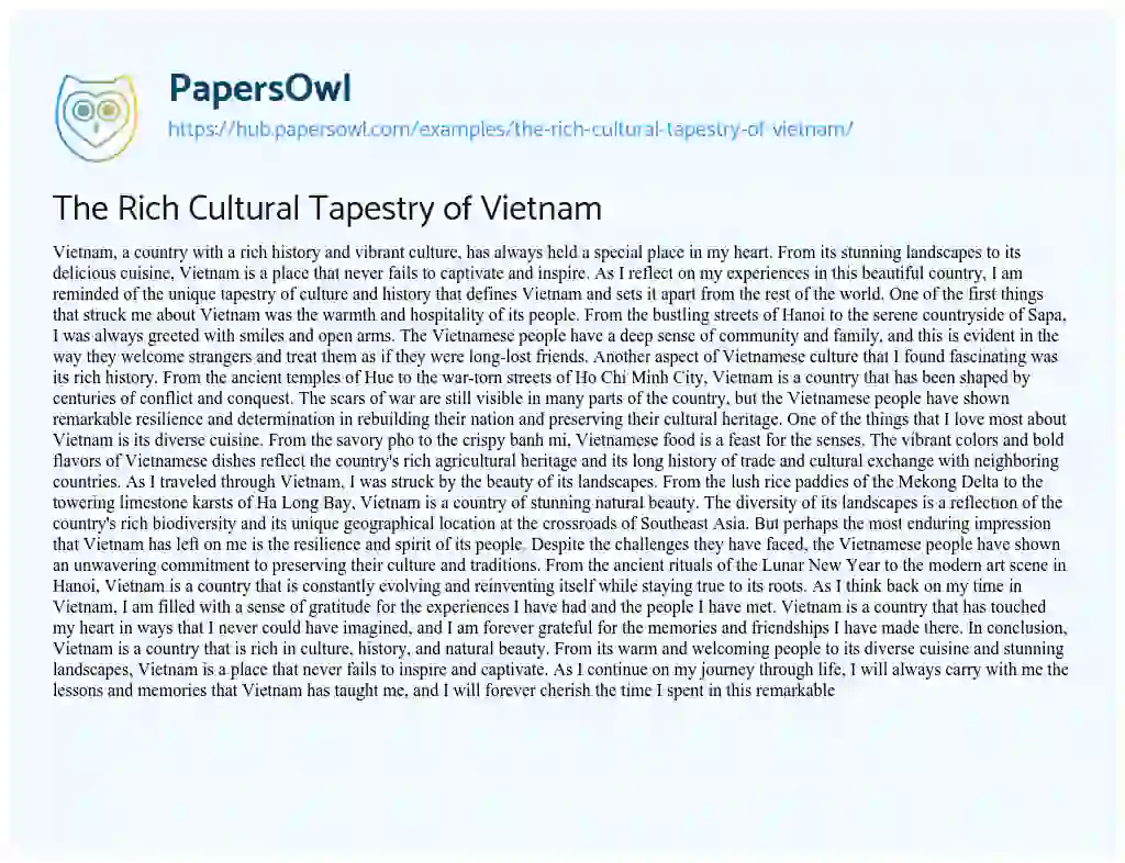 Essay on The Rich Cultural Tapestry of Vietnam