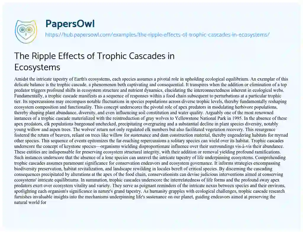 Essay on The Ripple Effects of Trophic Cascades in Ecosystems