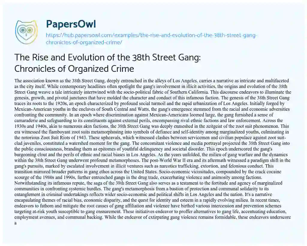 Essay on The Rise and Evolution of the 38th Street Gang: Chronicles of Organized Crime