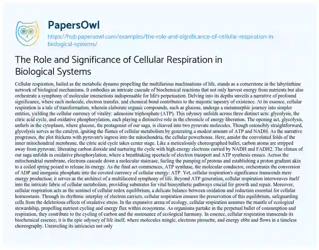 Essay on The Role and Significance of Cellular Respiration in Biological Systems