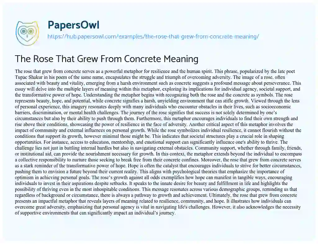 Essay on The Rose That Grew From Concrete Meaning