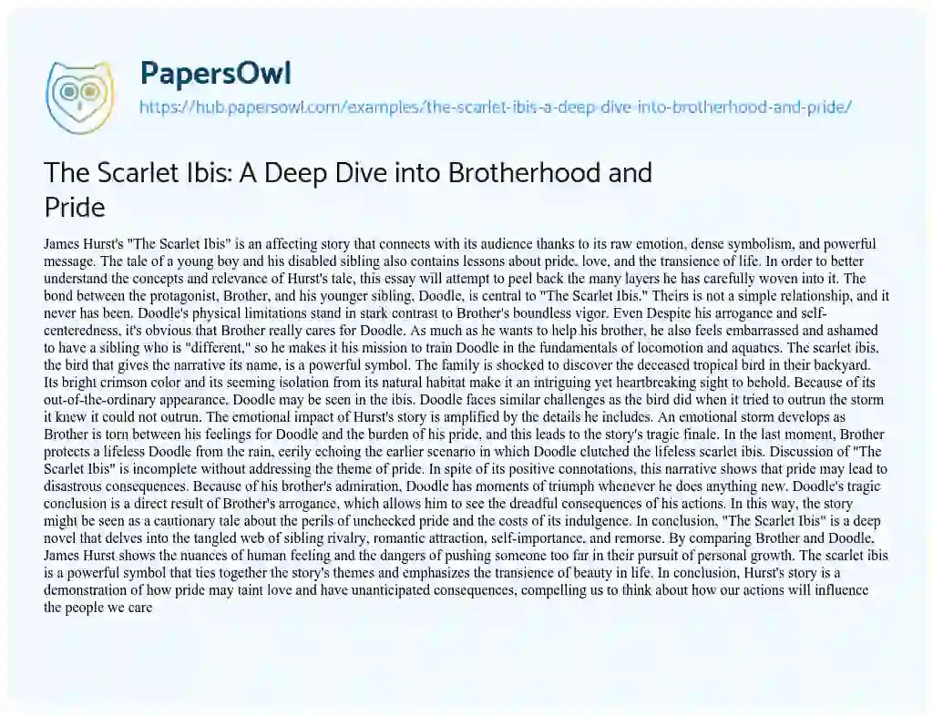 Essay on The Scarlet Ibis: A Deep Dive into Brotherhood and Pride