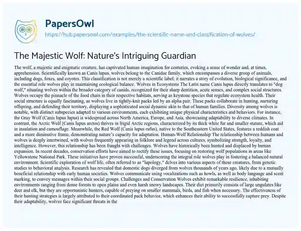 Essay on The Majestic Wolf: Nature’s Intriguing Guardian