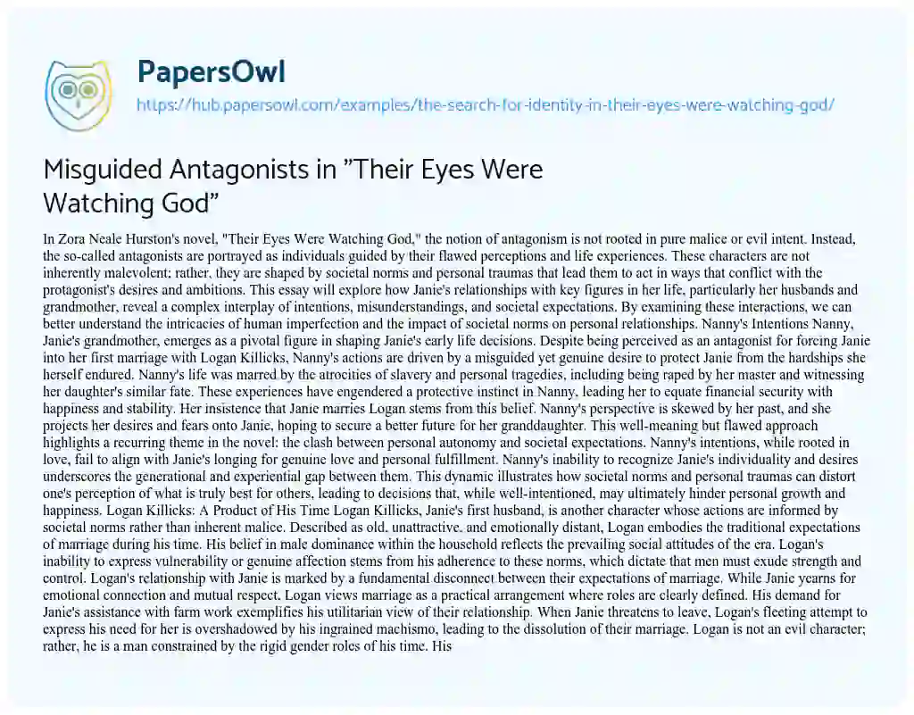 Essay on Misguided Antagonists in “Their Eyes Were Watching God”