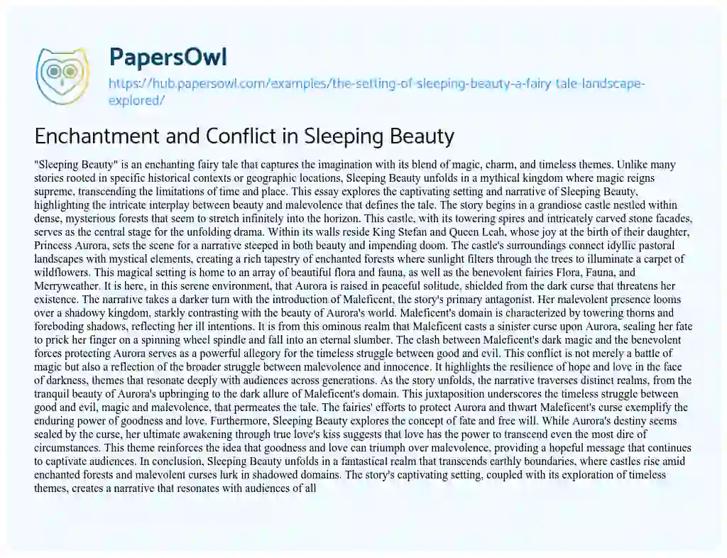 Essay on Enchantment and Conflict in Sleeping Beauty