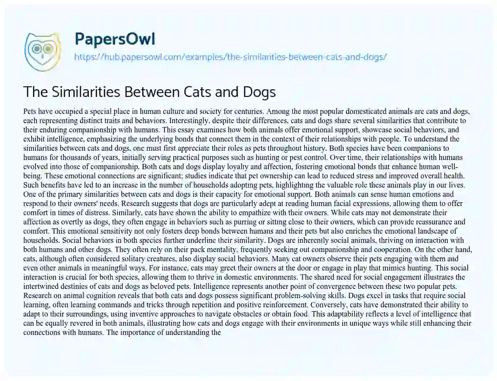 Essay on The Similarities Between Cats and Dogs