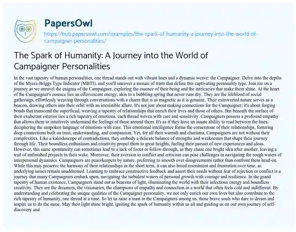 Essay on The Spark of Humanity: A Journey into the World of Campaigner Personalities