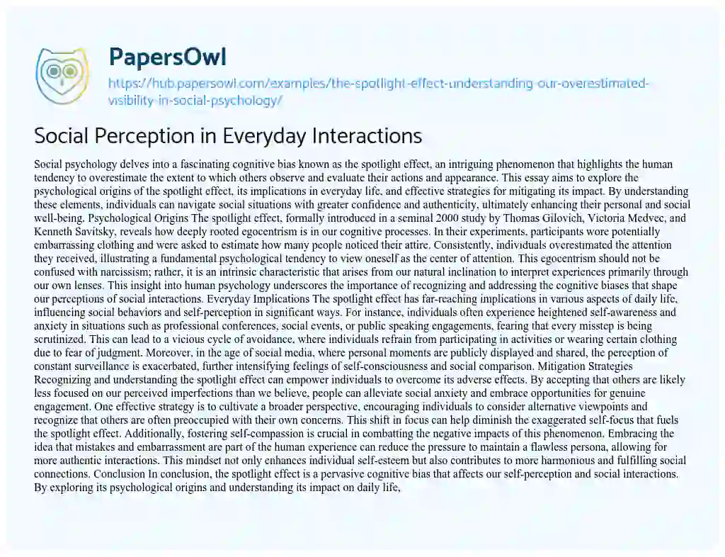 Essay on Social Perception in Everyday Interactions