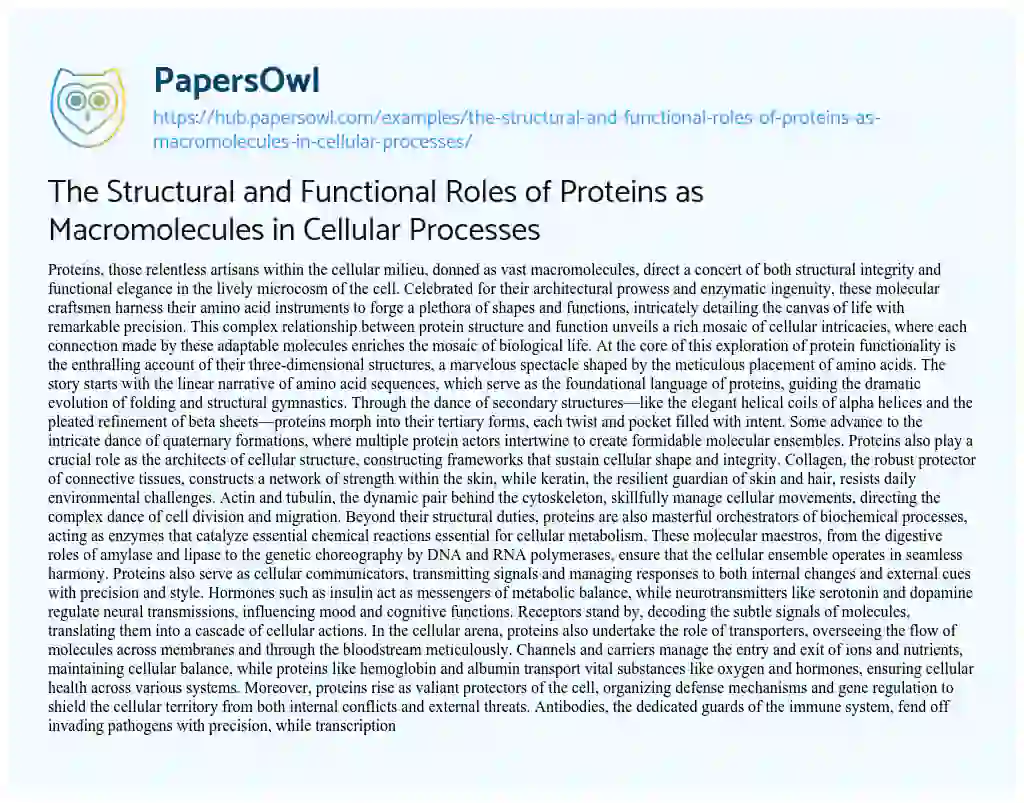 Essay on The Structural and Functional Roles of Proteins as Macromolecules in Cellular Processes