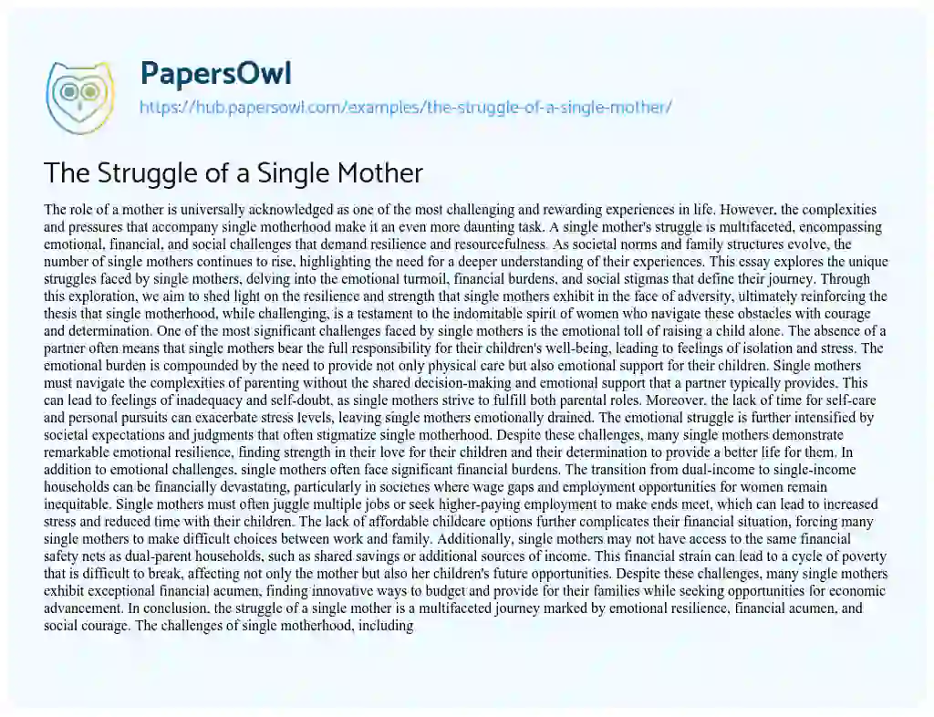 Essay on The Struggle of a Single Mother