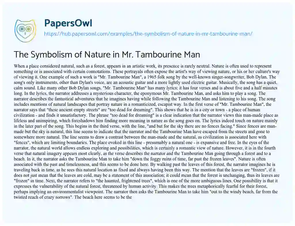 Essay on The Symbolism of Nature in Mr. Tambourine Man